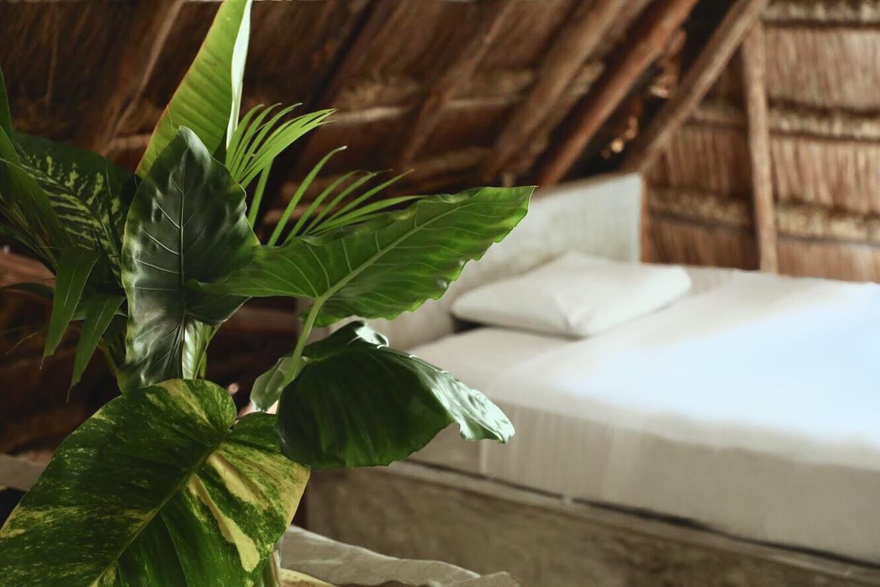 Tuup Jungle Tulum Exterior foto